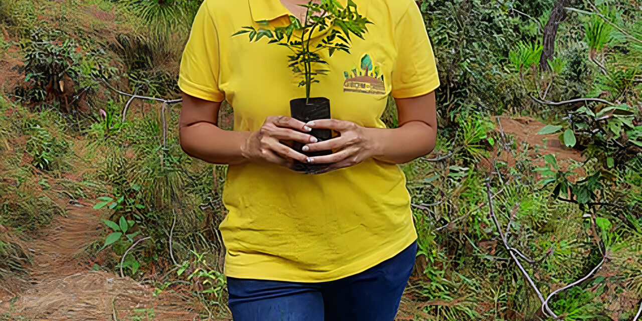 Restoring lost soil fertility