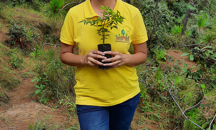 Restoring lost soil fertility