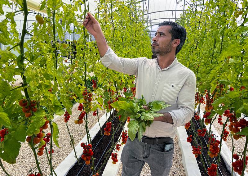 Can hydroponic farming save the world?
