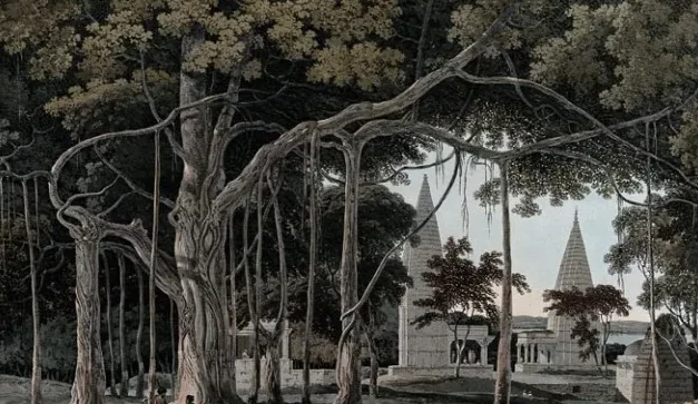 Fighting climate change the Bharat way: Vedas hold the key