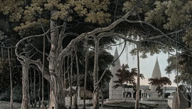 Fighting climate change the Bharat way: Vedas hold the key