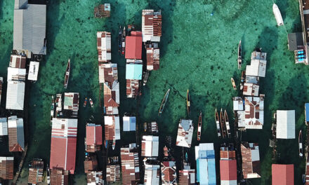 Swapping Debt for Climate or Nature Pledges Can Help Fund Resilience 