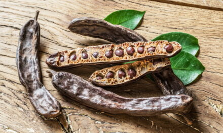 Smart Tech Cultivates Biblical Superfood For The 21st Century