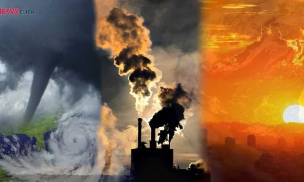 Climate Change: Co-Extinction Cause Loss Quarter Species 2100, Says Study