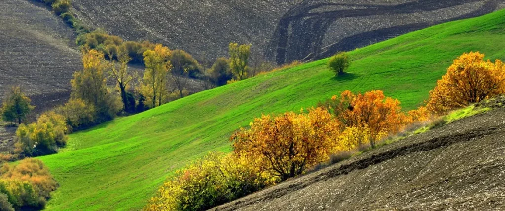 How Nature can change your Life 1