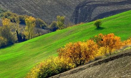 How Nature can change your Life