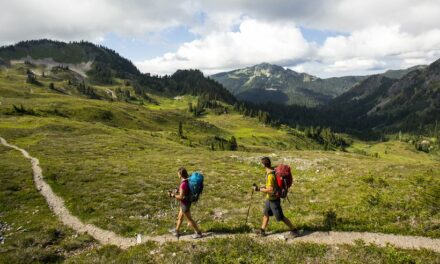 9 ways to have a more eco-friendly holiday in 2023￼