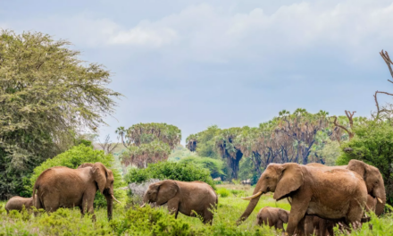 Centre for Nature and Climate