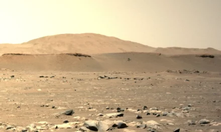 Mars ‘Forest Bubble’: 50 Acre Dome Proposed as Red Planet Nature Reserve