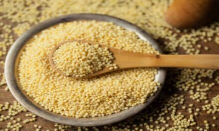 Why ‘superfood’ millet is all set to be the new black