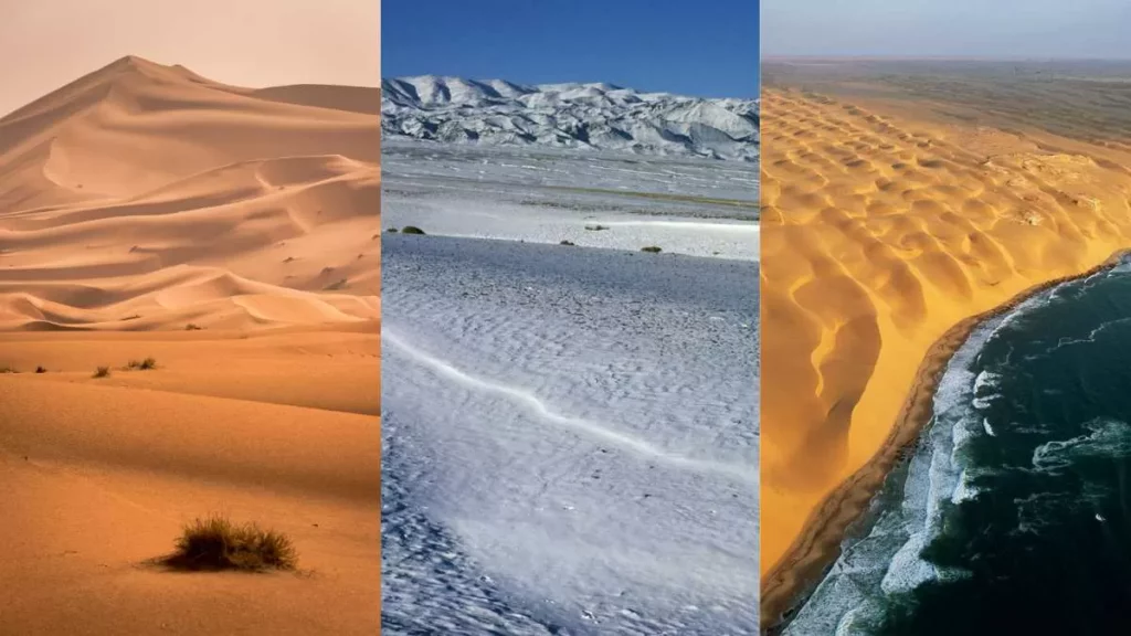 What is a Desert? Types, Formation & Habitat 1 What is a Desert? Types, Formation & Habitat 1