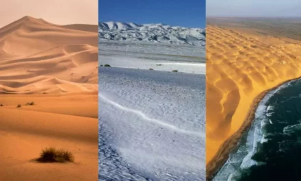 What is a Desert? Types, Formation & Habitat
