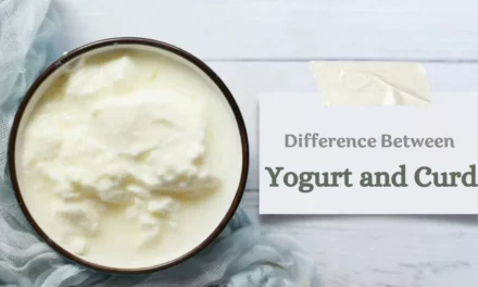 What Is The Difference Between Yogurt And Curd?