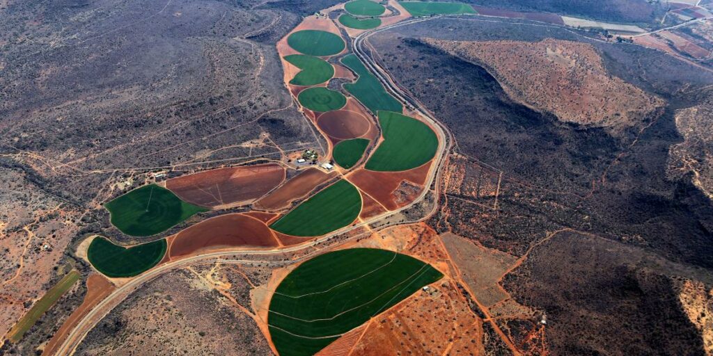 Circular Economy to fight climate change: Are countries walking the talk?￼ 1