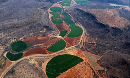 Circular Economy to fight climate change: Are countries walking the talk?￼