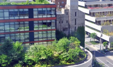 These places are pioneering new ways to adapt to climate change