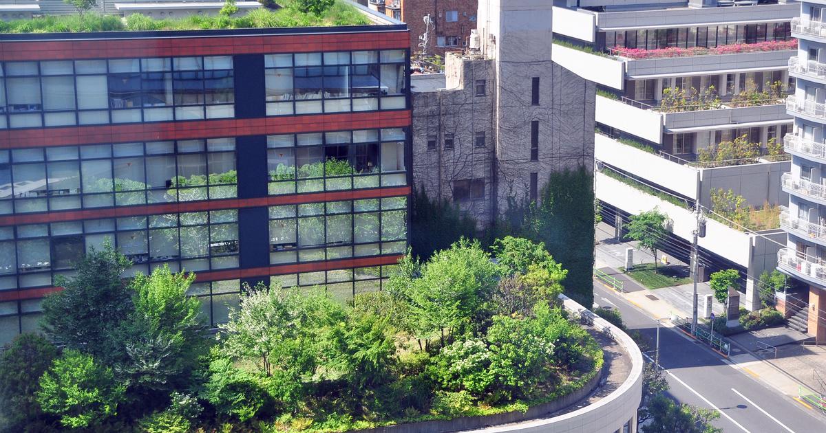 These places are pioneering new ways to adapt to climate change