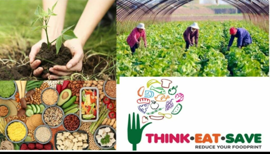 This is how the youth can helm the climate agenda in 2023 1 This is how the youth can helm the climate agenda in 2023 1