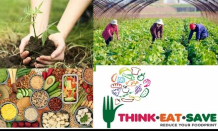 This is how the youth can helm the climate agenda in 2023