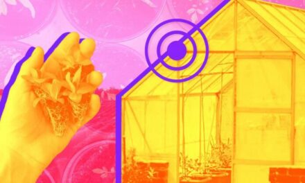 Smart Farming Technology and Benefits￼