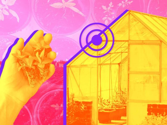 Smart Farming Technology and Benefits￼