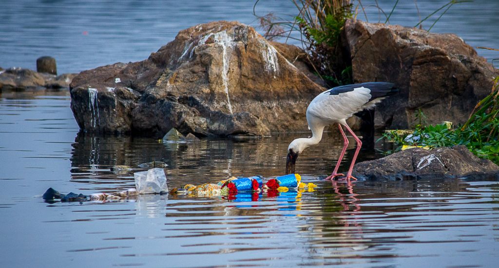 A peek into rural India’s plastic waste 2 A peek into rural India’s plastic waste 2