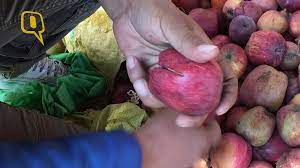 No Winter Chill: A Sign of Climate Change Affecting the Economy at Large