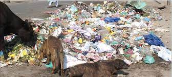 Waste Management Demands Public Participation