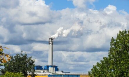 SINUS HEALTH & ALLERGIES – HUMAN POLLUTION