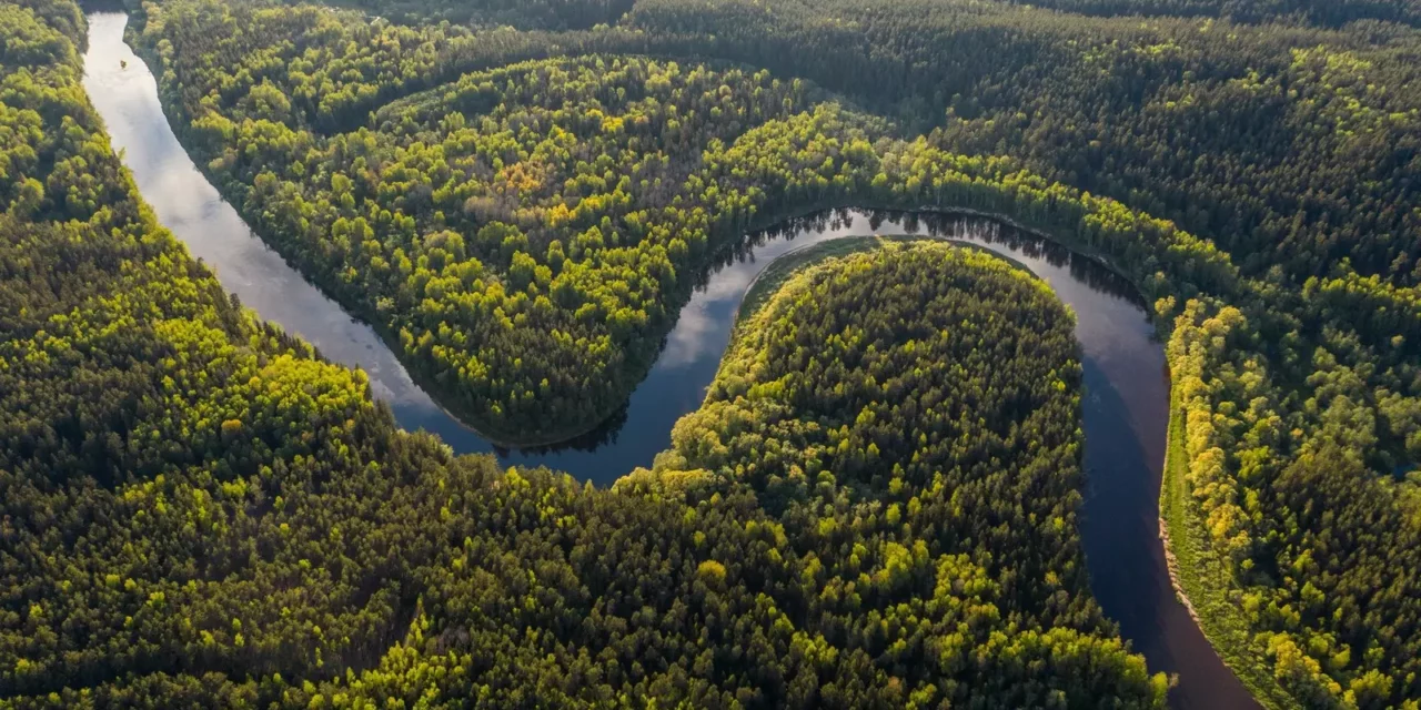 Climate action and sustainability – a unique opportunity for global cooperation