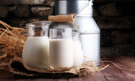 Buffalo Milk For Weight Loss — Finding the Facts￼