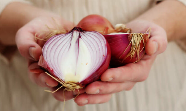 Is Onion Good for Diabetes? Decoding the Facts￼