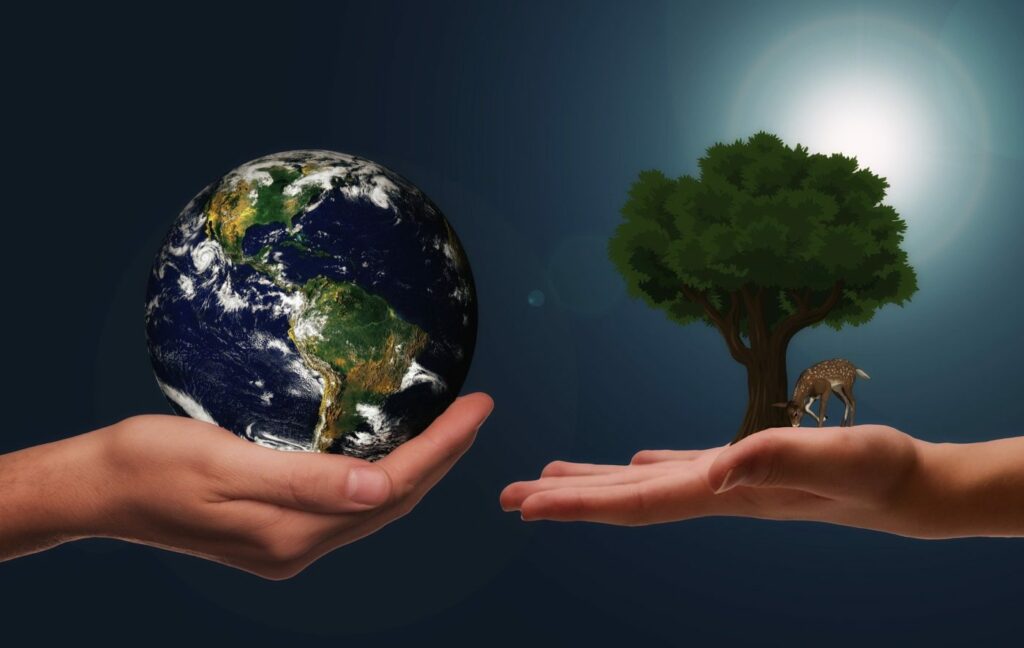 To Save Life on Earth, We must Save the Earth first! 1