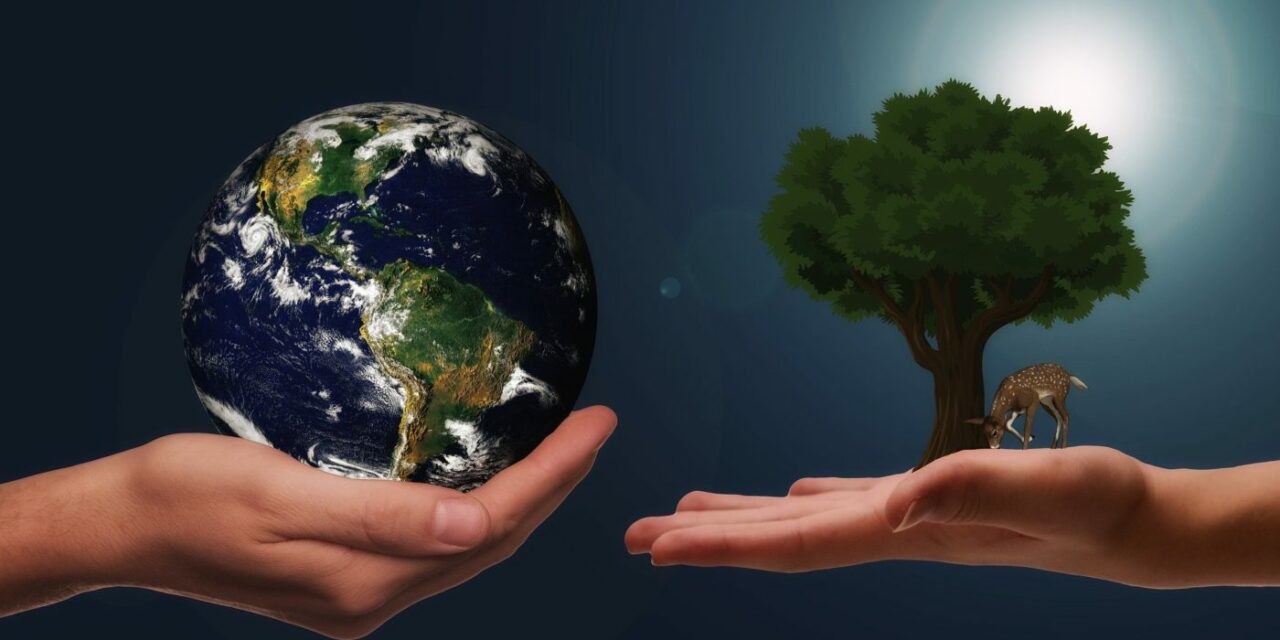 To Save Life on Earth, We must Save the Earth first! 6
