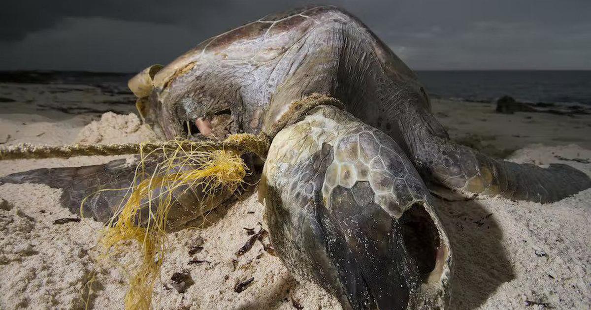 Plastic waste from India, Sri Lanka and Indonesia is overwhelming the islands of Seychelles