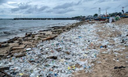 The world is creating more single-use plastic waste than ever, report finds￼