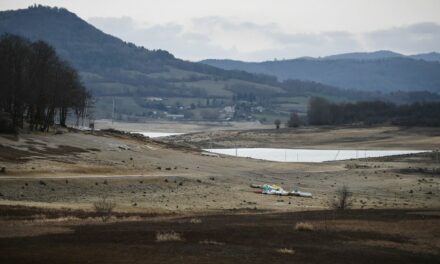 Dry canals, low rivers and shrunken lakes: Europe braces for severe drought amid winter heatwave