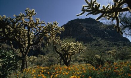 All About Climate￼￼