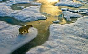 “Social Change” Essential To Meet Paris Climate Goal: Report