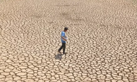 Indian Weather to Get Wilder! Govt Expert Calls for Urgent Climate Planning and Green Energy Transition