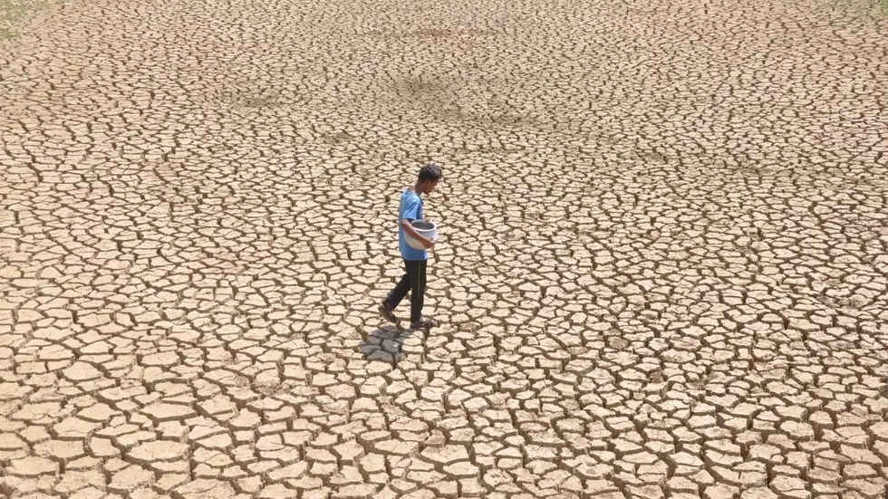 Indian Weather to Get Wilder! Govt Expert Calls for Urgent Climate Planning and Green Energy Transition