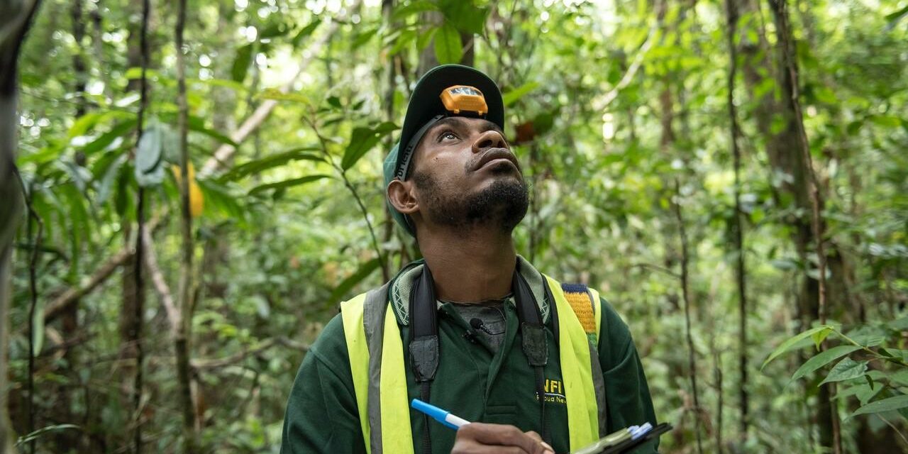 What are carbon markets and why are they important?