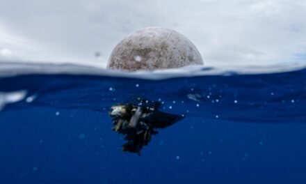 More than 170 trillion plastic particles found in the ocean as pollution reaches ‘unprecedented’ levels