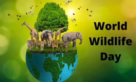 <strong>“Habitat loss impacts not only wildlife but also human settlements adversely,” &nbsp;says Supriya Patil</strong>