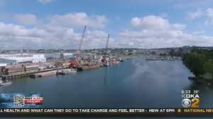 As climate changes, climate anxiety rises in youth