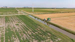 Likely shortage of irrigation water