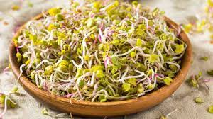 Sprouts for immunity: Improve your body’s defense against diseases naturally