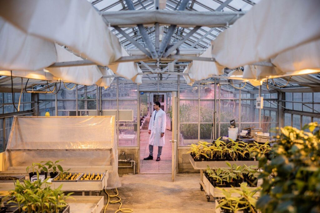 Climate change is launching a mutant seed space race 1 Climate change is launching a mutant seed space race 1