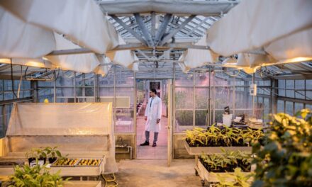 Climate change is launching a mutant&nbsp;seed space race