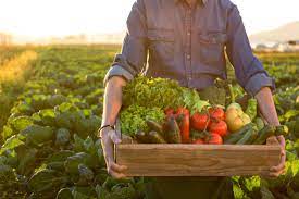 Rising organic food market helping lakhs of farmers go global and reap rich benefits